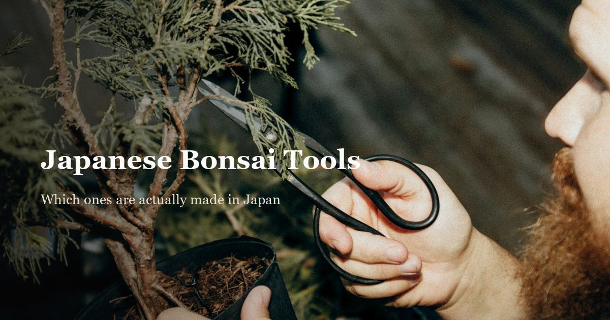 Best Japanese Bonsai Tools: Actually Made in Japan?